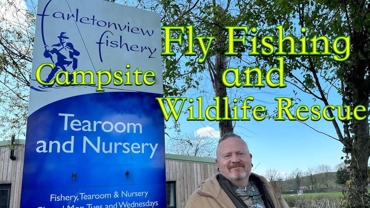 Farleton view fisheries campsite, Fly Fishing and Wildlife Rescue!