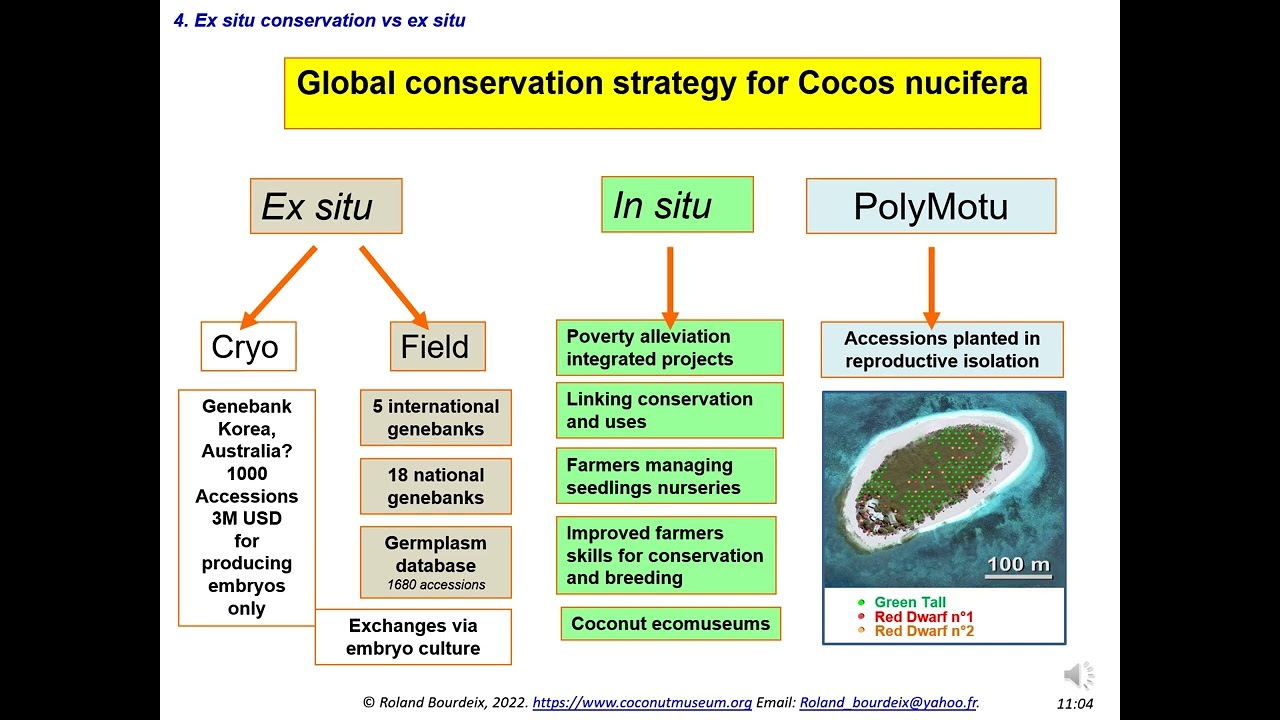 Global management of coconut diversity conserved ex situ