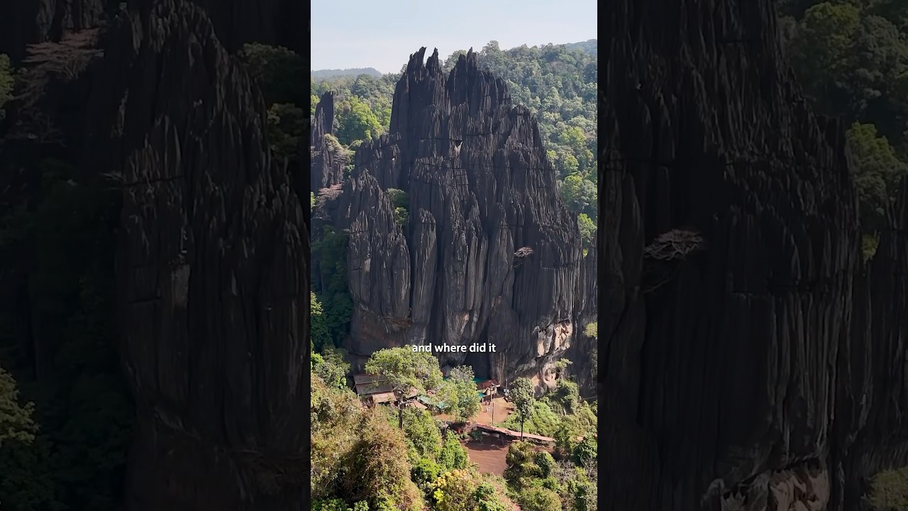 You Won't Believe This Exists!