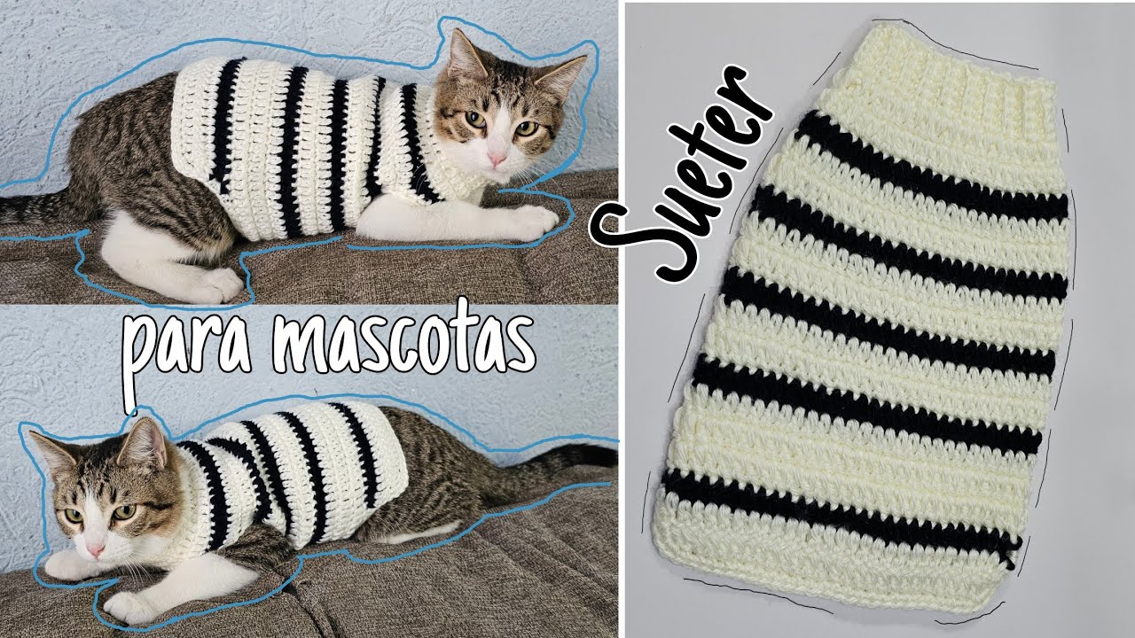 "¡¡Cómo Tejer Sueter Para tu Mascota!!"❤️|Crochetips