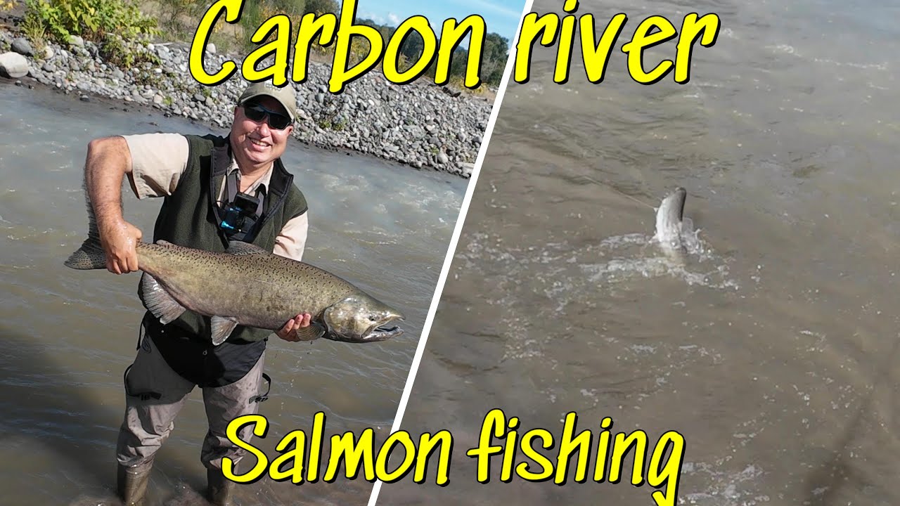 Carbon river Salmon fishing