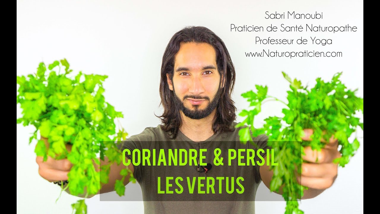Coriandre & Persil : LES VERTUS NATUROPATHIQUE