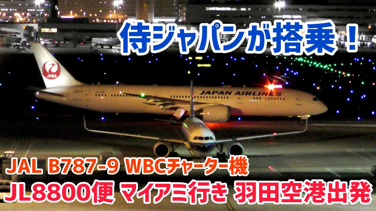 【搭乗しているのは侍ジャパン！】決戦の地マイアミへ！ JAL B787-9 JA871J  WBC侍ジャパンチャーター機　JL8800便 マイアミ行き　羽田空港 タキシング〜離陸　2026/03/11