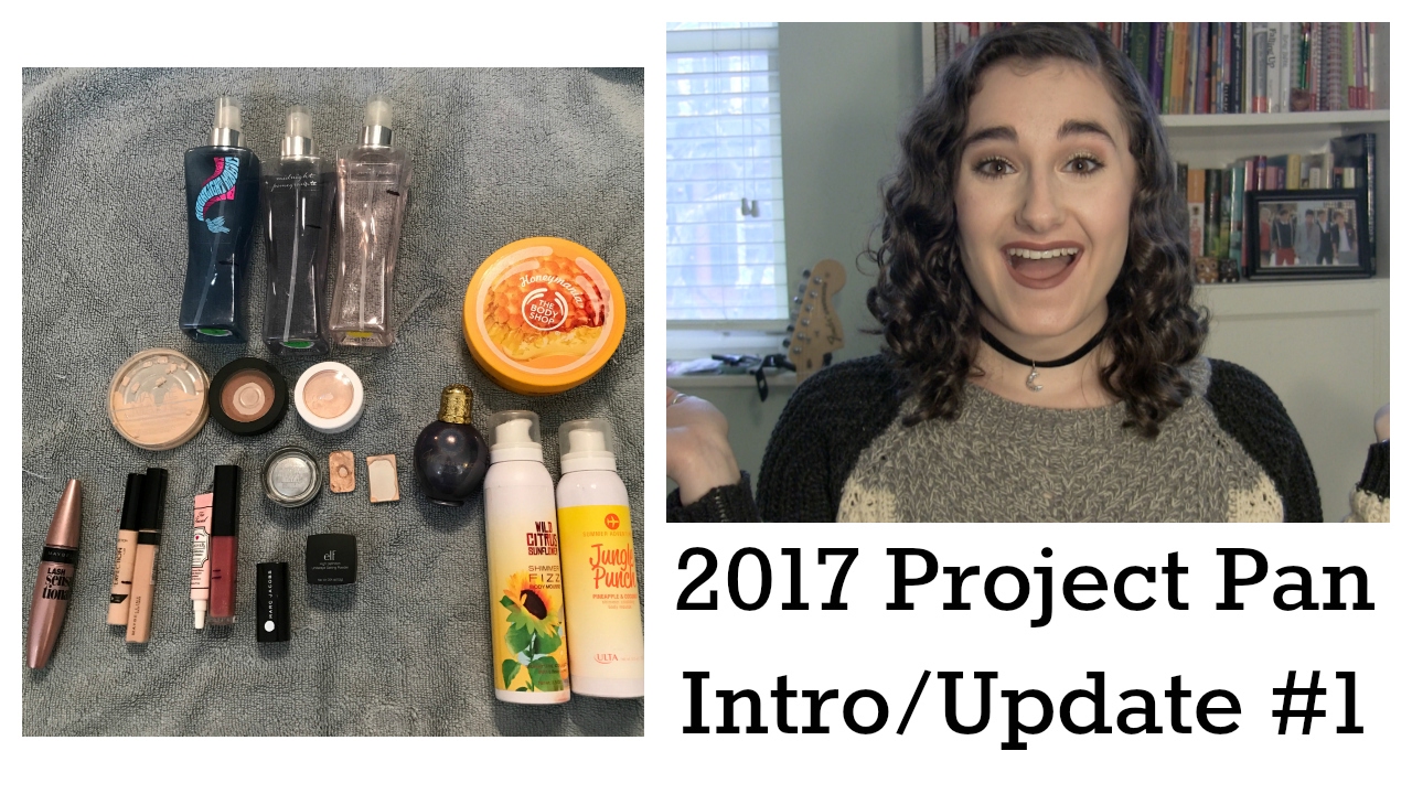 2017 Project Pan- Intro/Update #1
