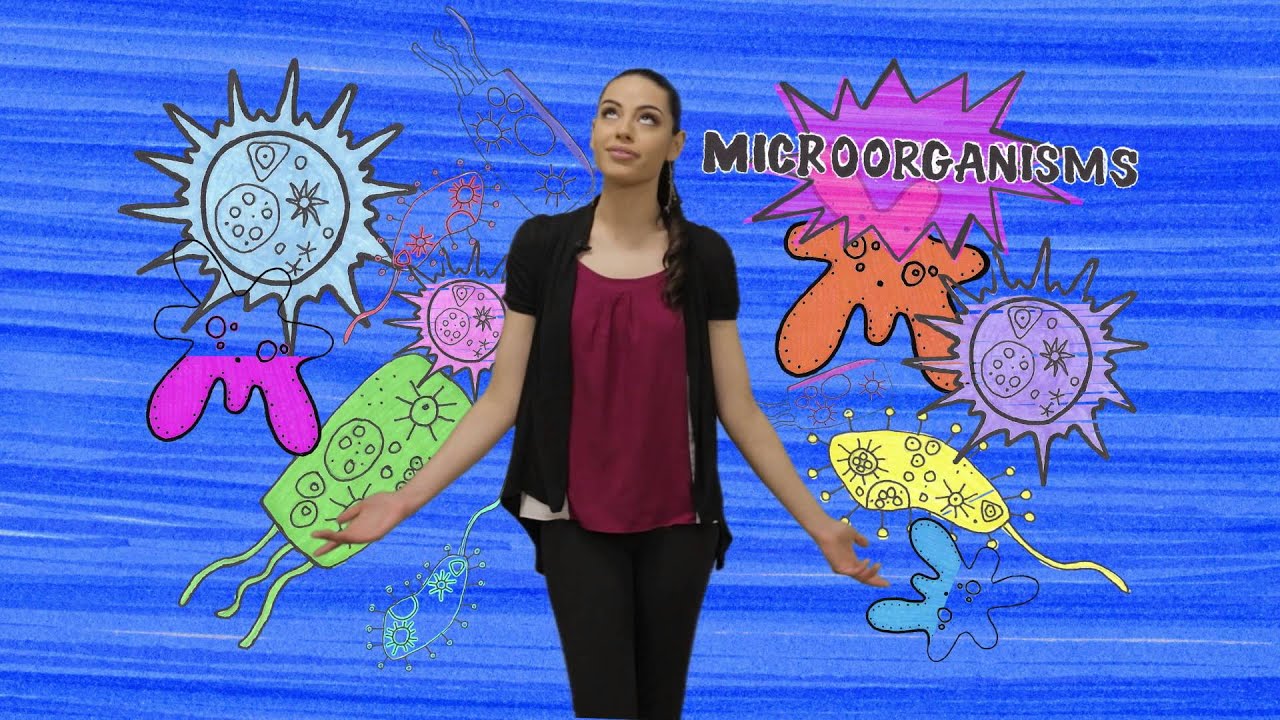 Texas Tech Public Broadcasting Kids Spots