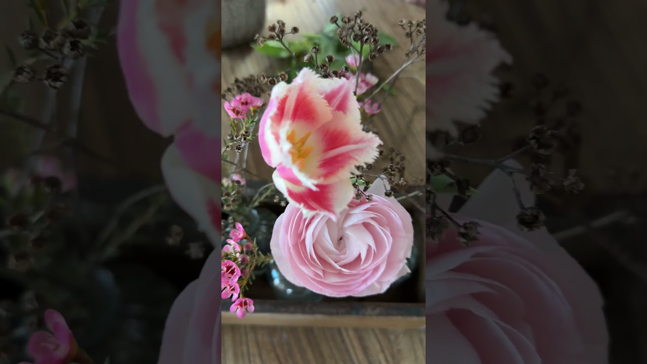 DIY - Ziegelformen Trend - Fr&uuml;hling 2025 🌸✨