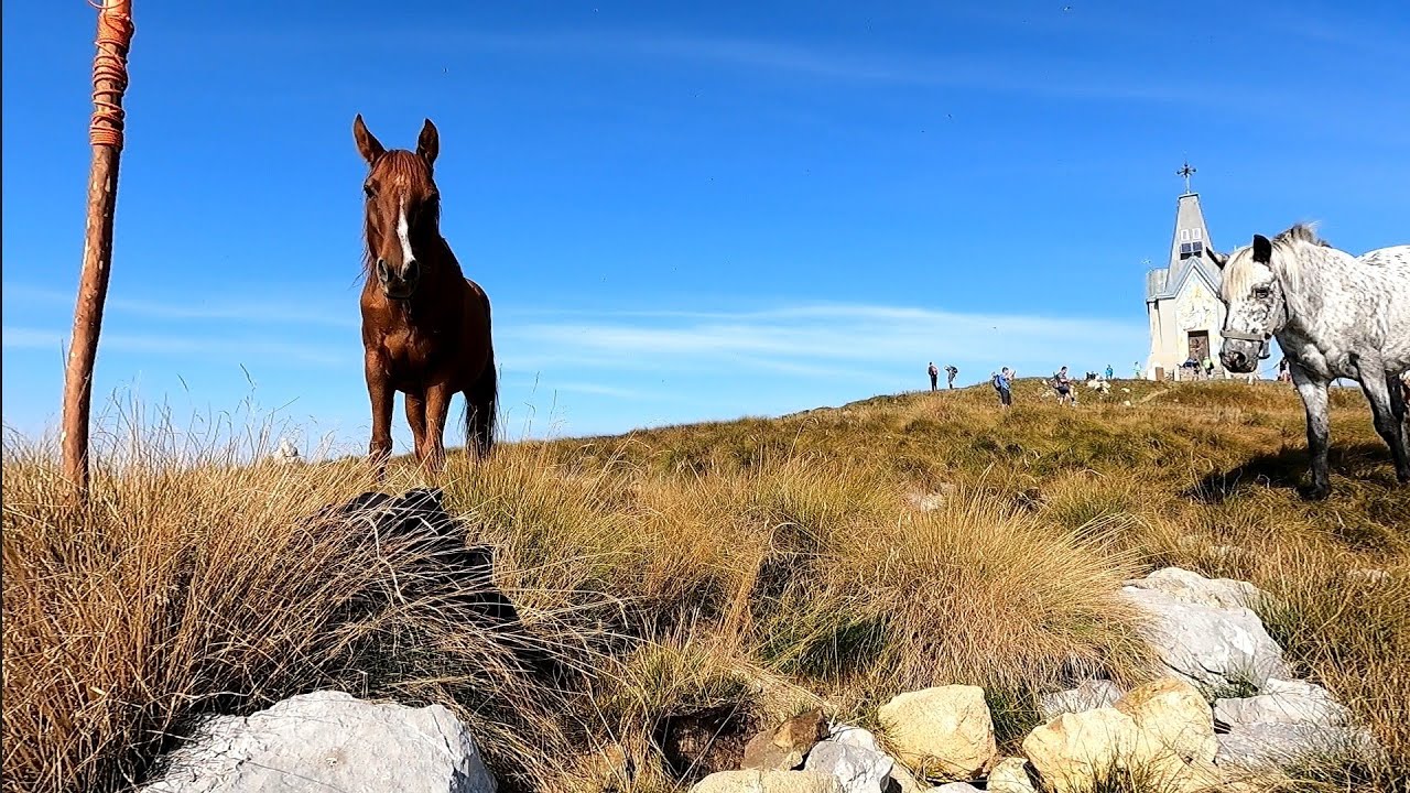 Monte Guglielmo, hiking da Pezzoro, pranzo con arrosticini, formaggio della nonna e pomodorini