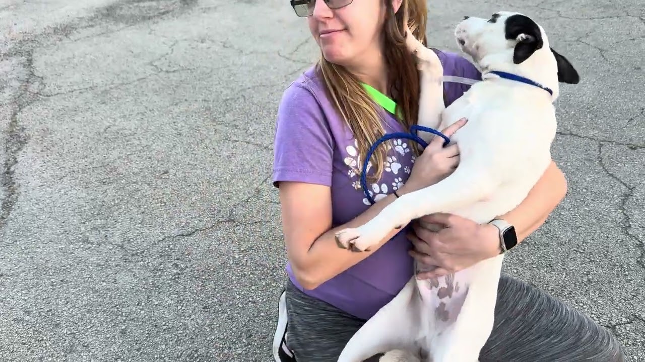 A2055018 Momma Flealand and A2054880 Jackson temp test