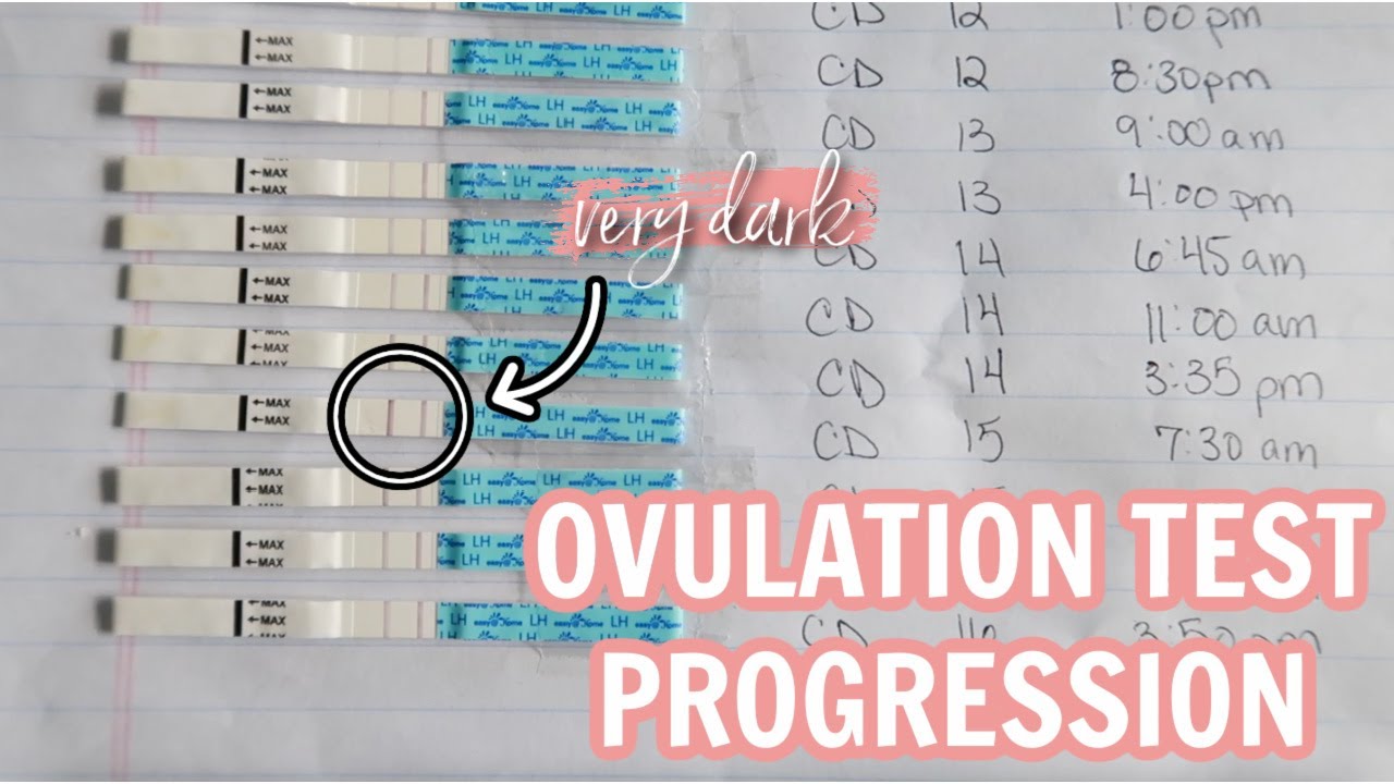 OVULATION TEST LINE PROGRESSION | how to read ovulation tests & know peak ovulation!
