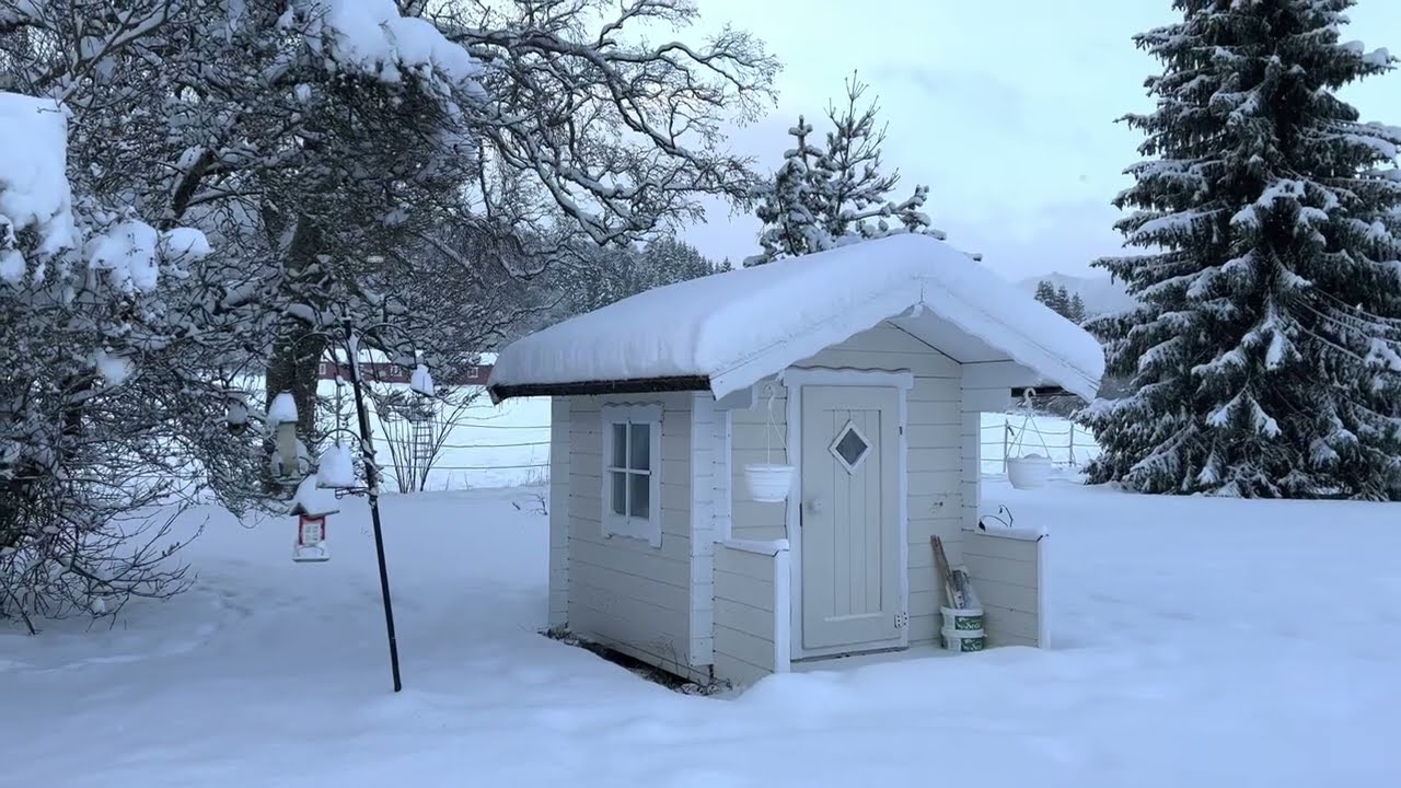 NORWAY WINTER WALK , ORKLAND SNOW WALKING ASMR RELAX 2022