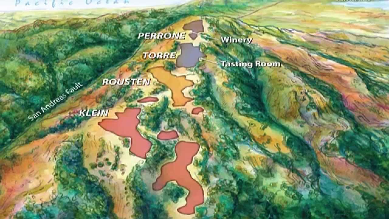 The Monte Bello vineyard