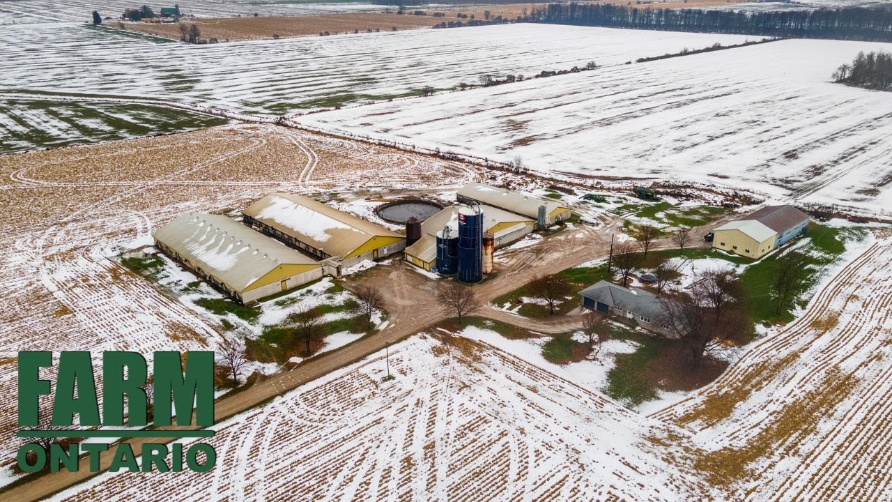 43795 Bridge Rd, Seaforth | Farms For Sale In Ontario