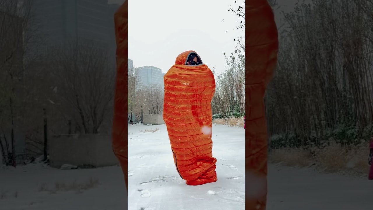 Play in snow enjoy and have fun