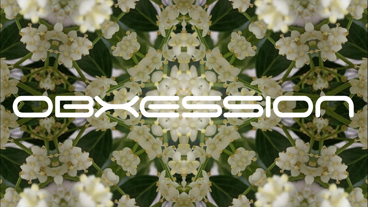 Bleep & ARChorus, Mani, ARPhaser, ARFlanger, Spiral Chorus, Magic Pitch, Discord4, Micro pitch AUv3