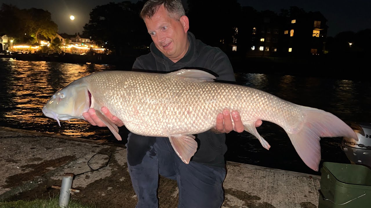 September River Thames Barbel 2024