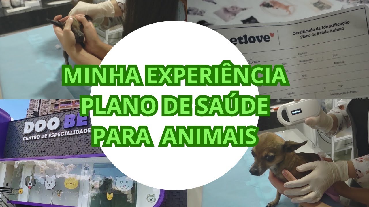 PLANO DE SAÚDE DOS MEUS ANIMAIS/ MINHA EXPERIÊNCIA/mostrando plano de saúde dos meus animais/vlog
