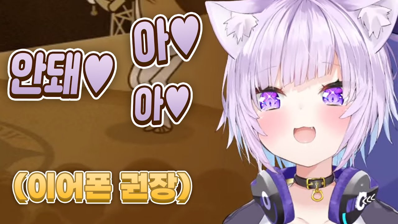 이 고양이는 리듬게임을 이렇게 합니다