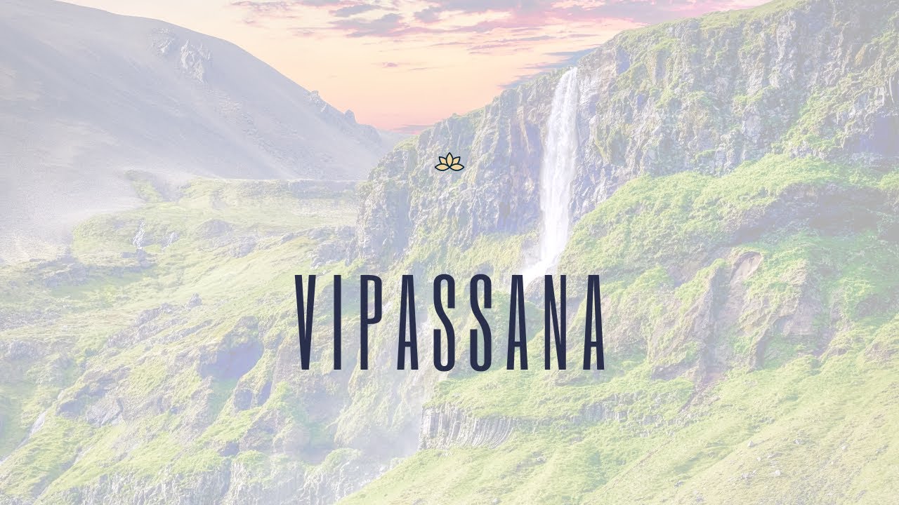 What I have done that has helped the most in my grief journey...