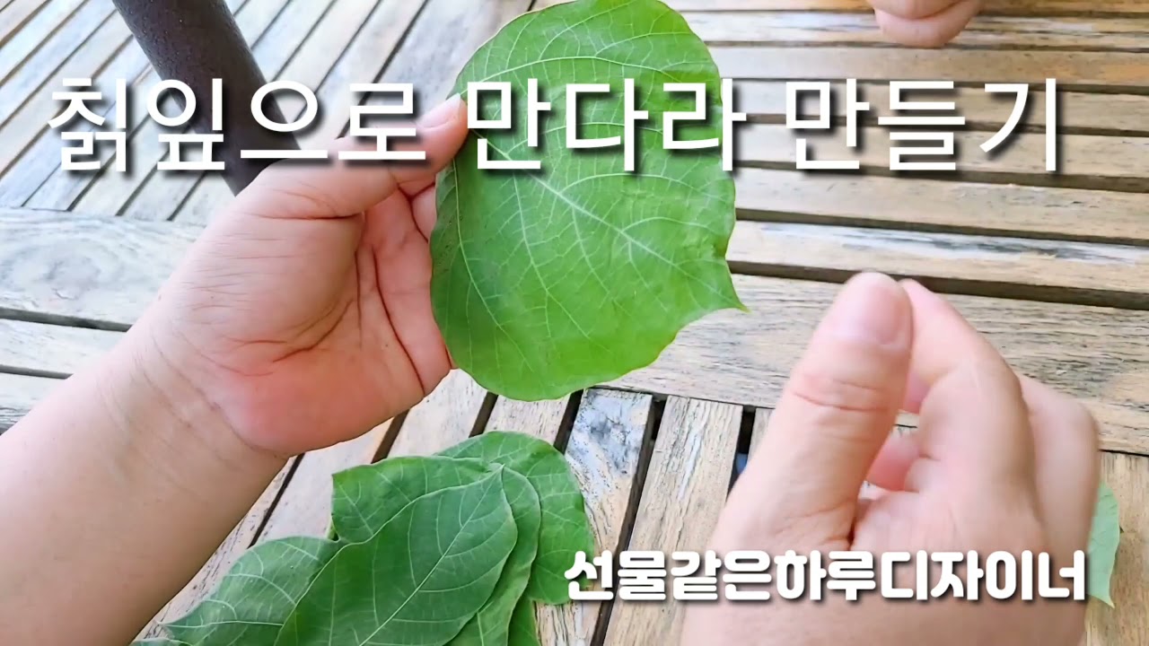 칡잎으로 매미와 만다라 만들기 권미욱숲해설사 나미사랑의 쉼있는날 주변식물이야기