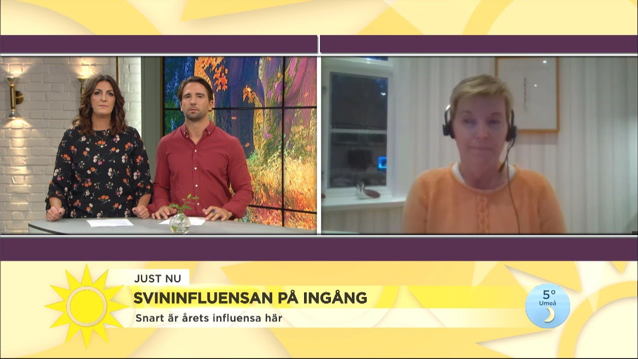 Nu kommer svininfluensan &ndash; se om du tillh&ouml;r en av riskgrupperna - Nyhetsmorgon (TV4)