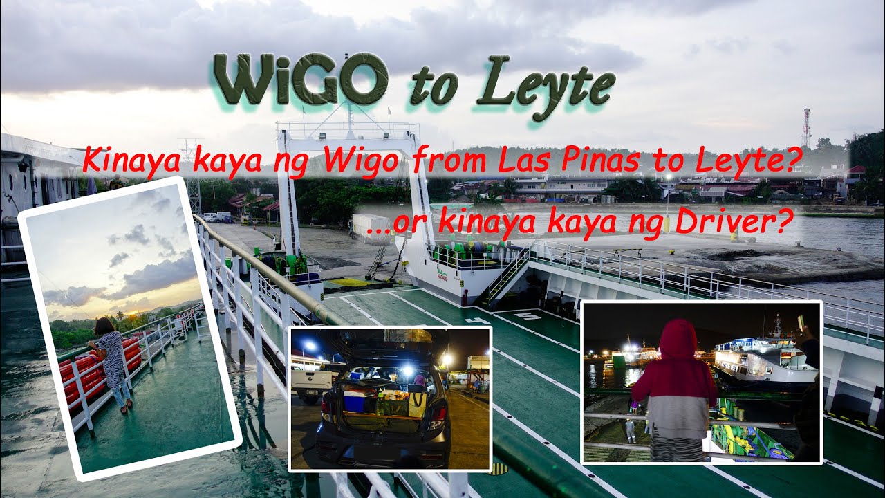 WiGO from Las Pinas to Leyte I Travel Guide to Leyte via RORO I Travelling With Pet