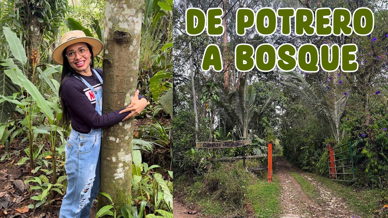 Compraron un potrero y lo convirtieron en un bosque │Candy Bu