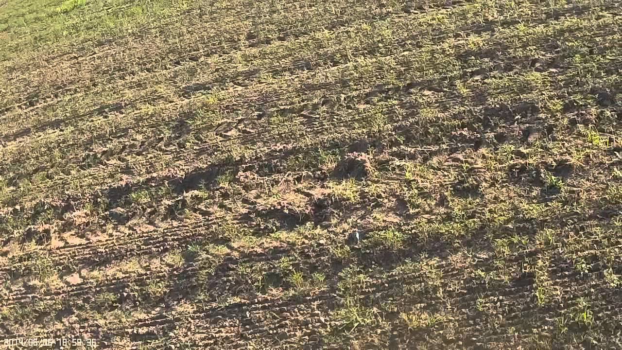 TriCop v 2 1   06 06 2014 FPV 1