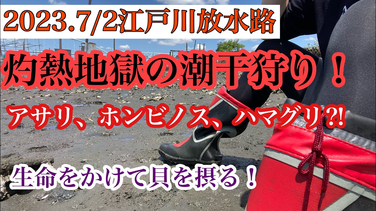 2023.7/2江戸川灼熱の潮干狩り！