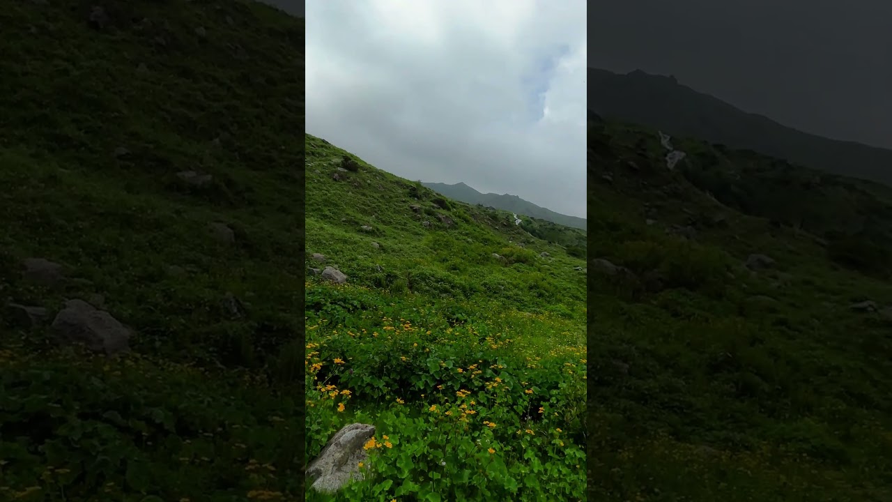 Yulla Kanda trek | Rora Valley | Kinnaur #yullakanda #kinnaur #himachal #camping #himalayas #nature