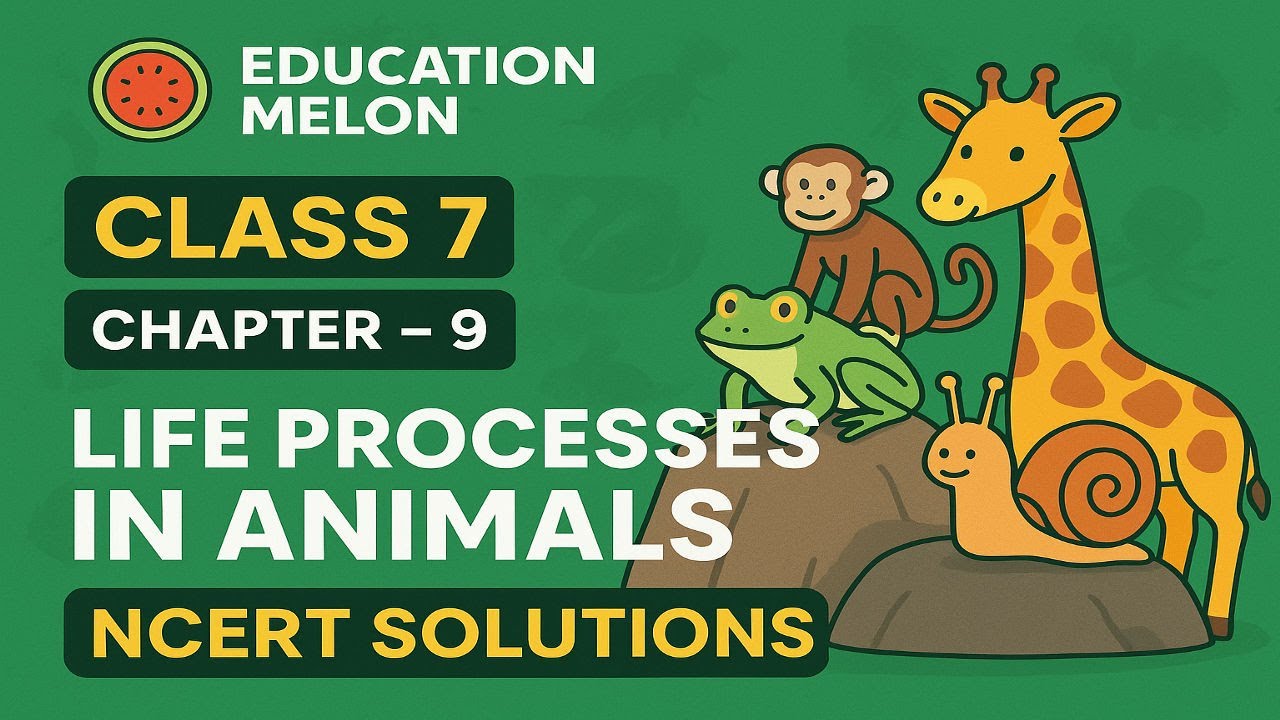 🔬 Class 7 Science Chapter 9 | Life Processes in Animals | NCERT Solutions [New Edition] | E.M