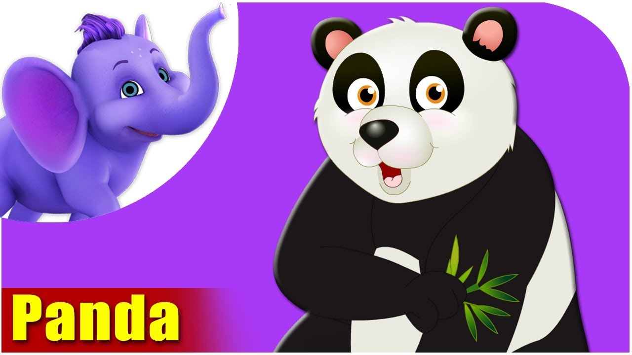 Animal Songs for kids | Panda Song