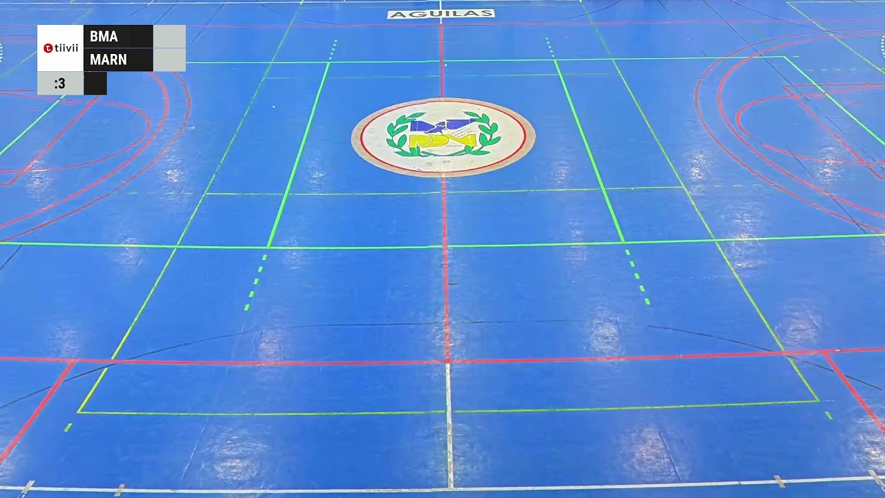 LOGÍSTICA GRILLO BALONMANO ÁGUILAS VS BM. MARNI