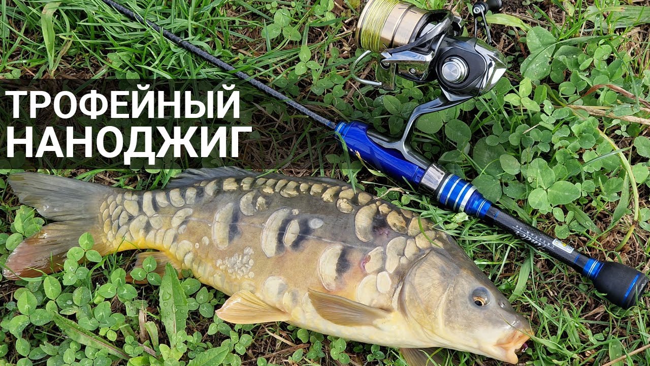 ТРОФЕЙНЫЙ НАНОДЖИГ! Лучший XUL-спиннинг. Сравнение двух самых деликатных спиннингов!