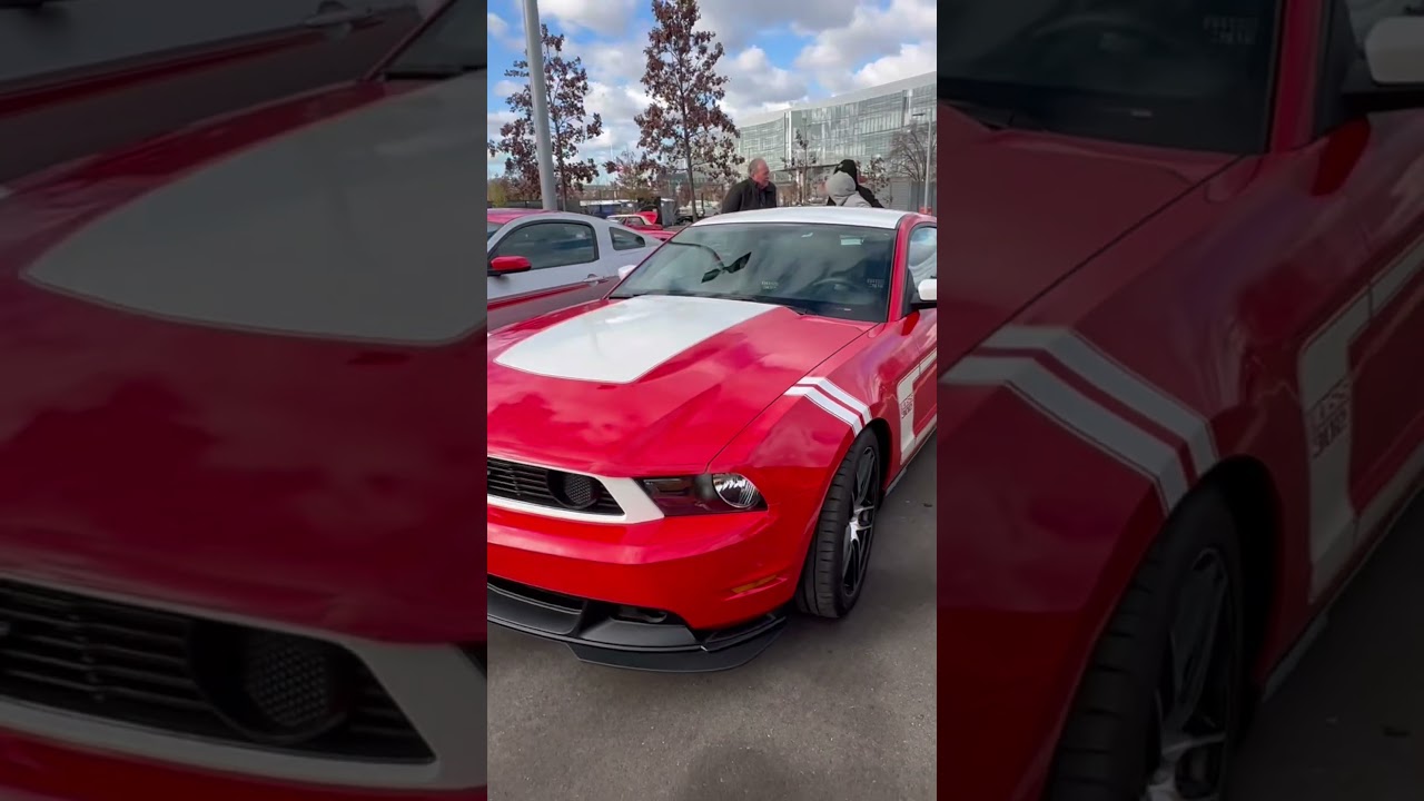 Ford Boss 302 Mustangs 