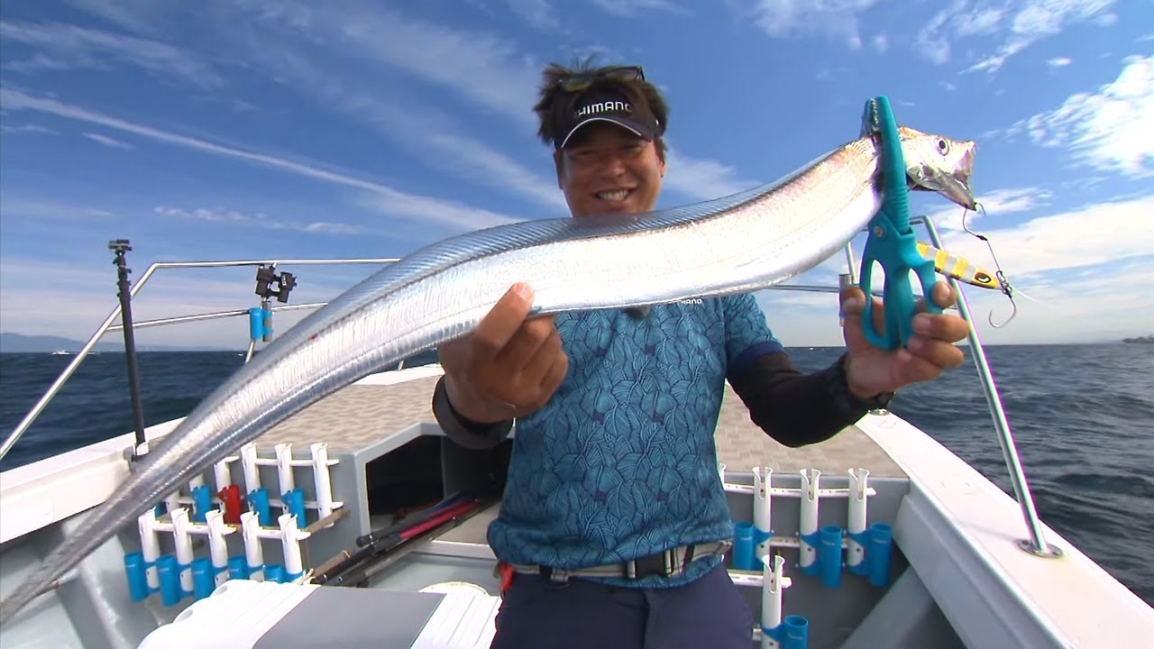 【いつでも釣り気分！】#283 フォールと巻きで2倍誘う  大阪湾のタチウオ＆青物を攻略！