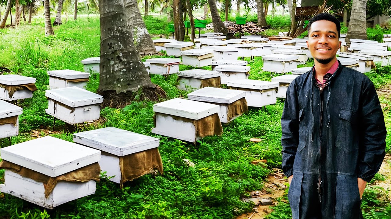 How He Started His Successful Beekeeping Farm with GHS 3000($241) #beekeeping #bee #bees #apiculture
