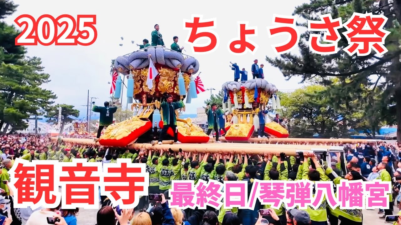 観音寺ちょうさ祭2025最終日【琴弾八幡宮】
