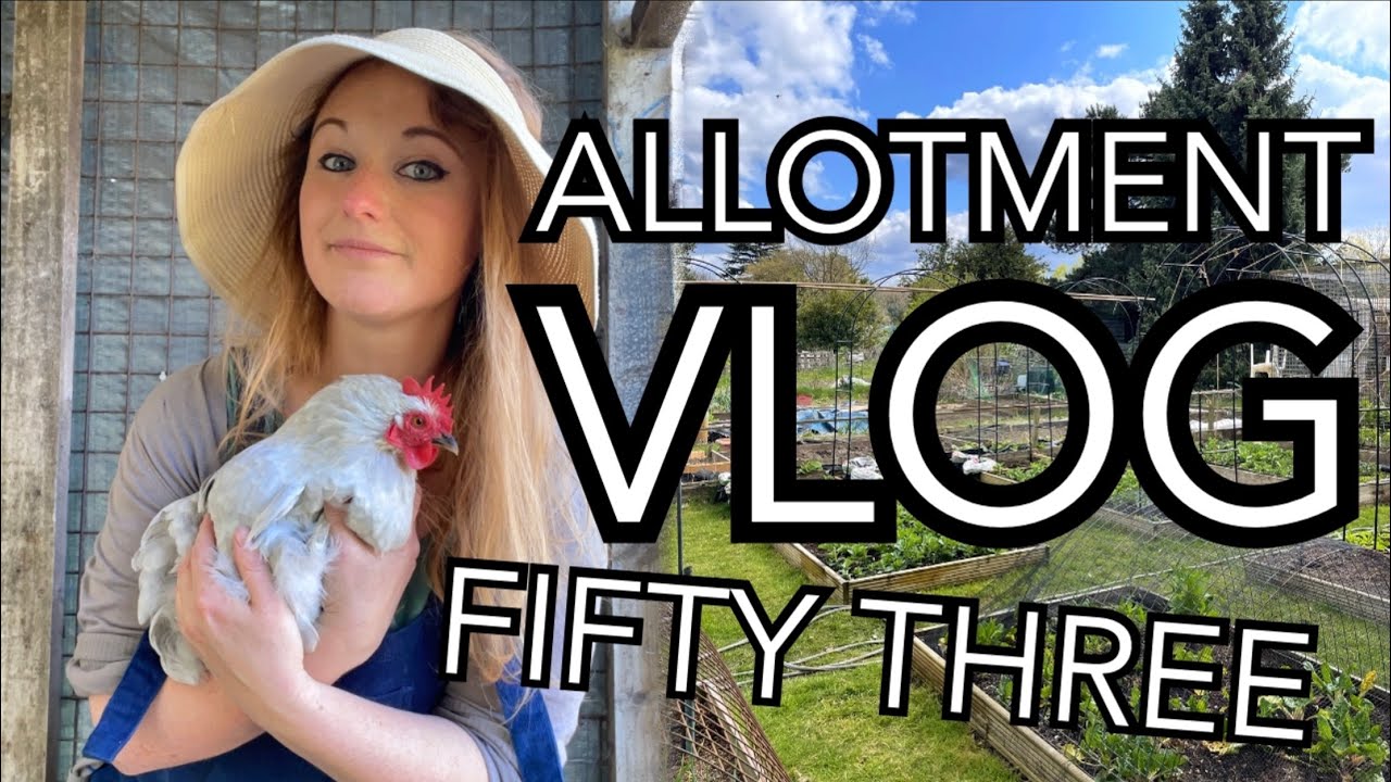 Pinching Out my Chilli plants, making a Rhubarb Cake and Planting Out Herbs || Plot 37 (Episode 53)