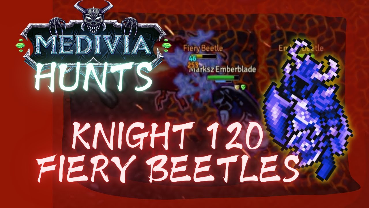 KNIGHT 120 DUO AT FIERY BEETLES - SOUTH ABUKIR - MEDIVIA ONLINE