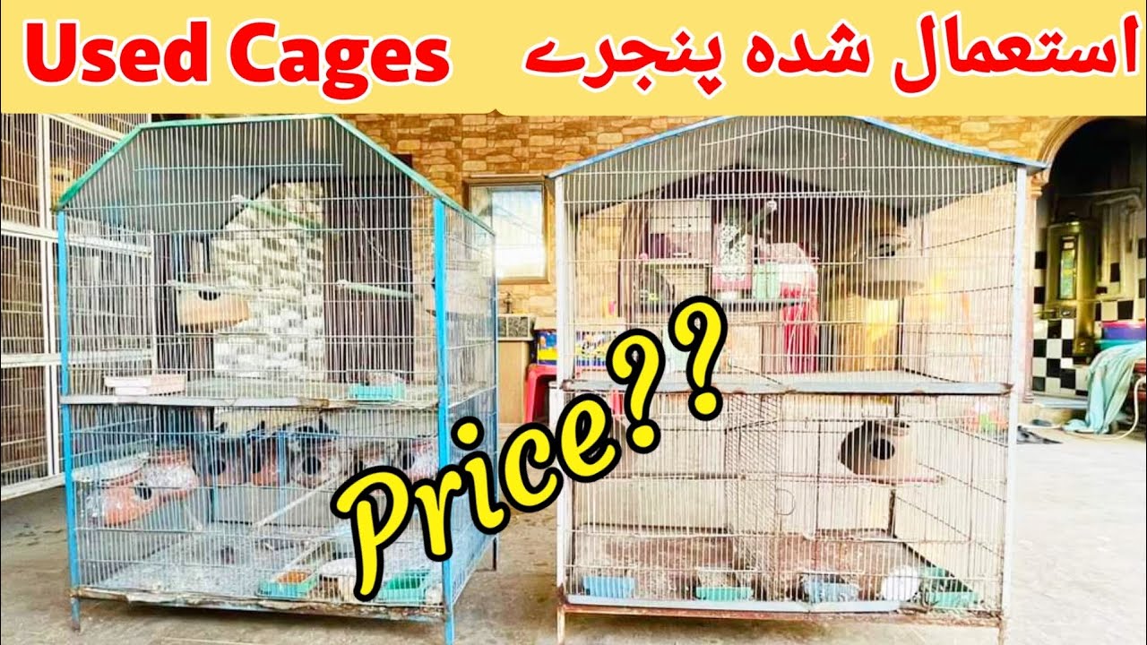 Used cages For sale In Karachi 2024 || Used Cage in Karachi