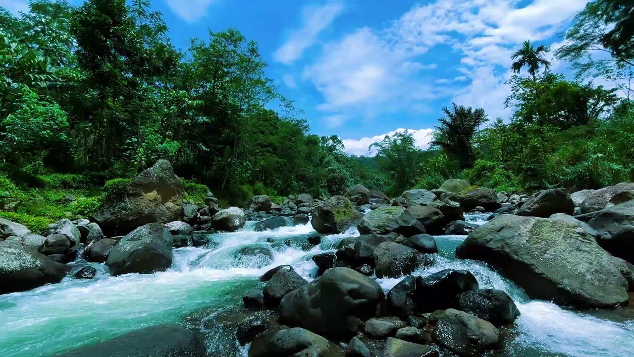 Fall Into Deep Sleep with Soothing River Sounds | 10 Hours of Calm Water Ambience