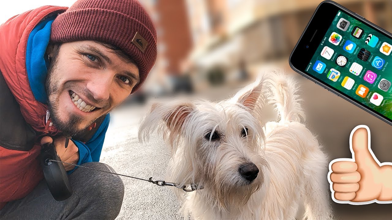 VLOG НА IPHONE 8 PLUS