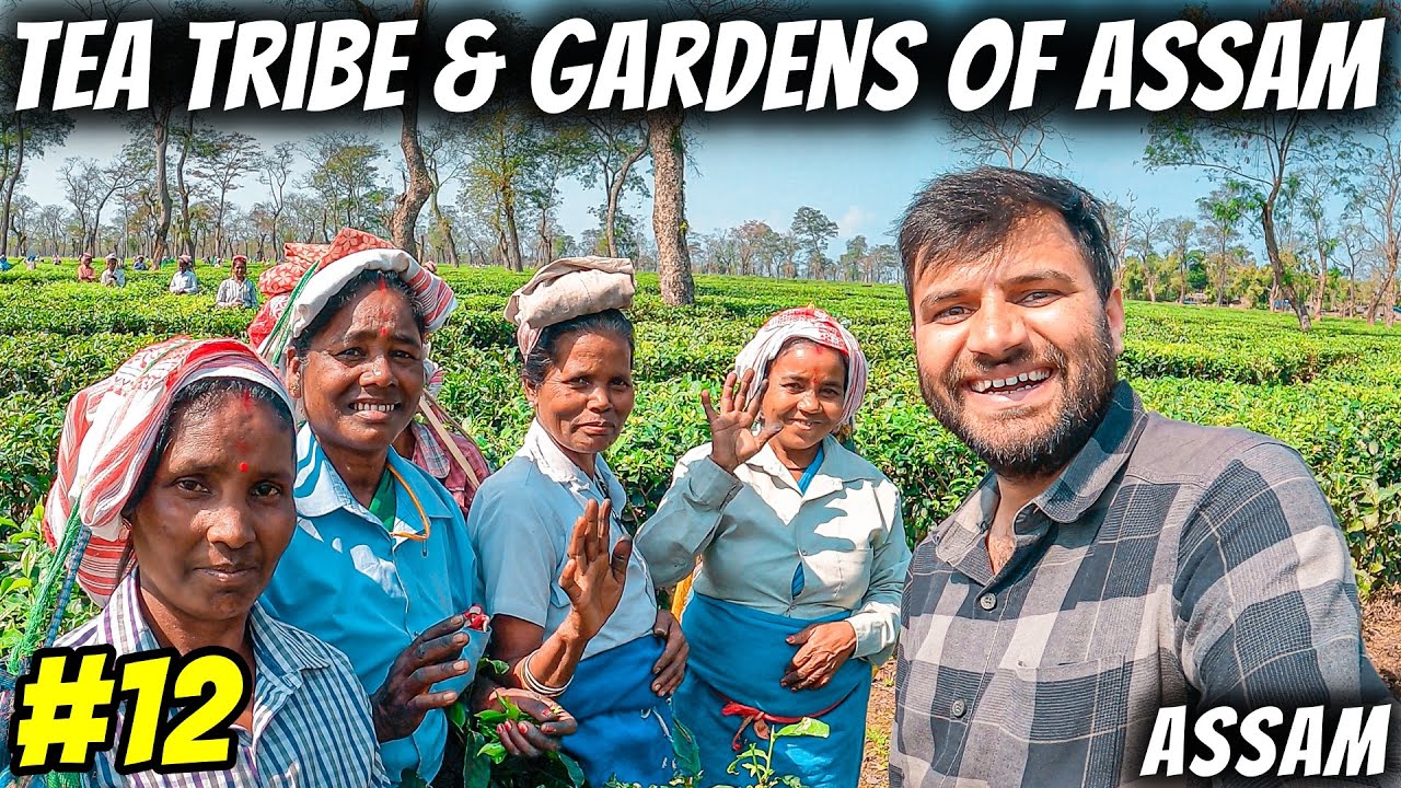 Stayed in TEA GARDEN for 1 NIGHT, Tea Bunglows