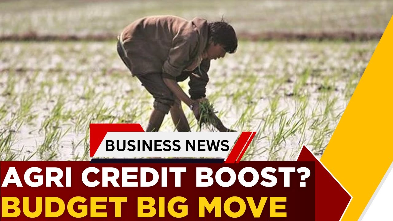 Big Push For Rural Economy? Agriculture Credit Target Likely To Rise In Budget | Business News