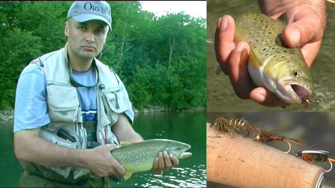 Mušičarenje na reci Tari | Revir iz 2004. godine | Fly fishing river Tara