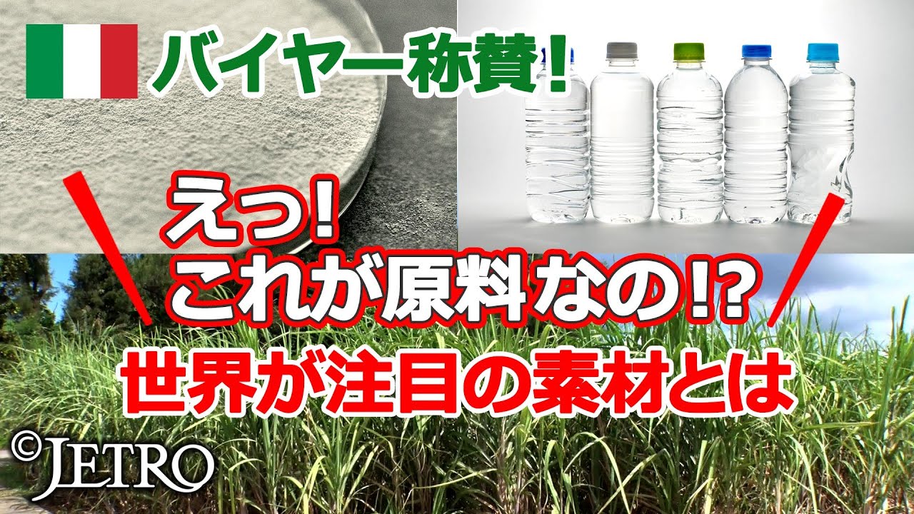 【世界のファッション業界の潮流！】サステナブルに対応する日本企業
