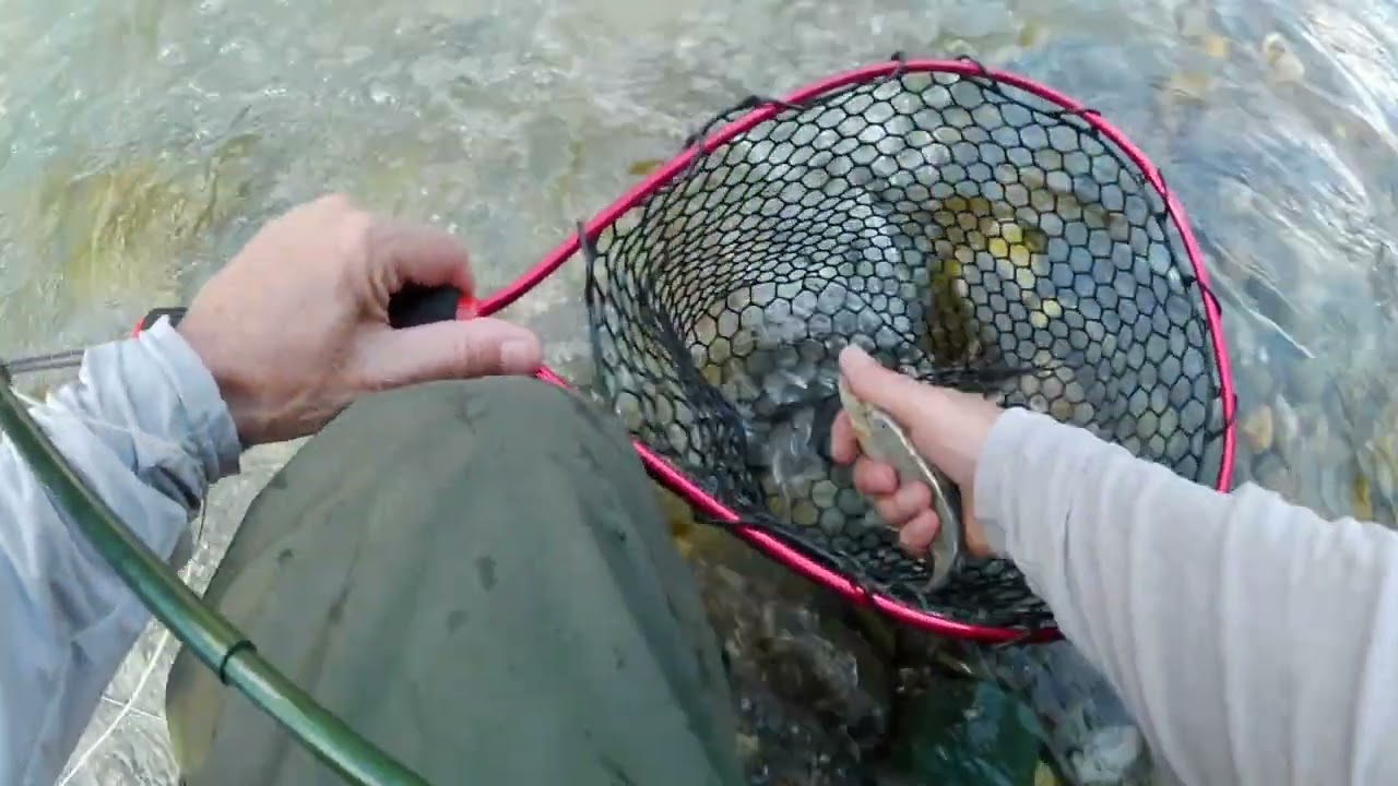 Fly Fishing Savoie, France - Part 4 - Arc River