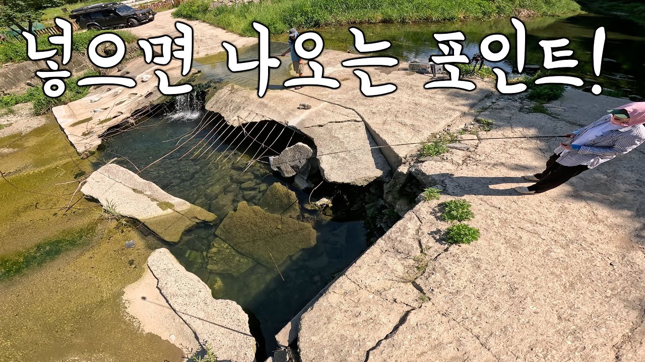 무너진 콘크리트 보에서 끊임없이 나오는 대물! 바로 여기야!