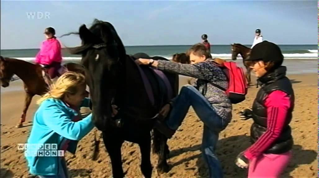 ponyhof op TV DE