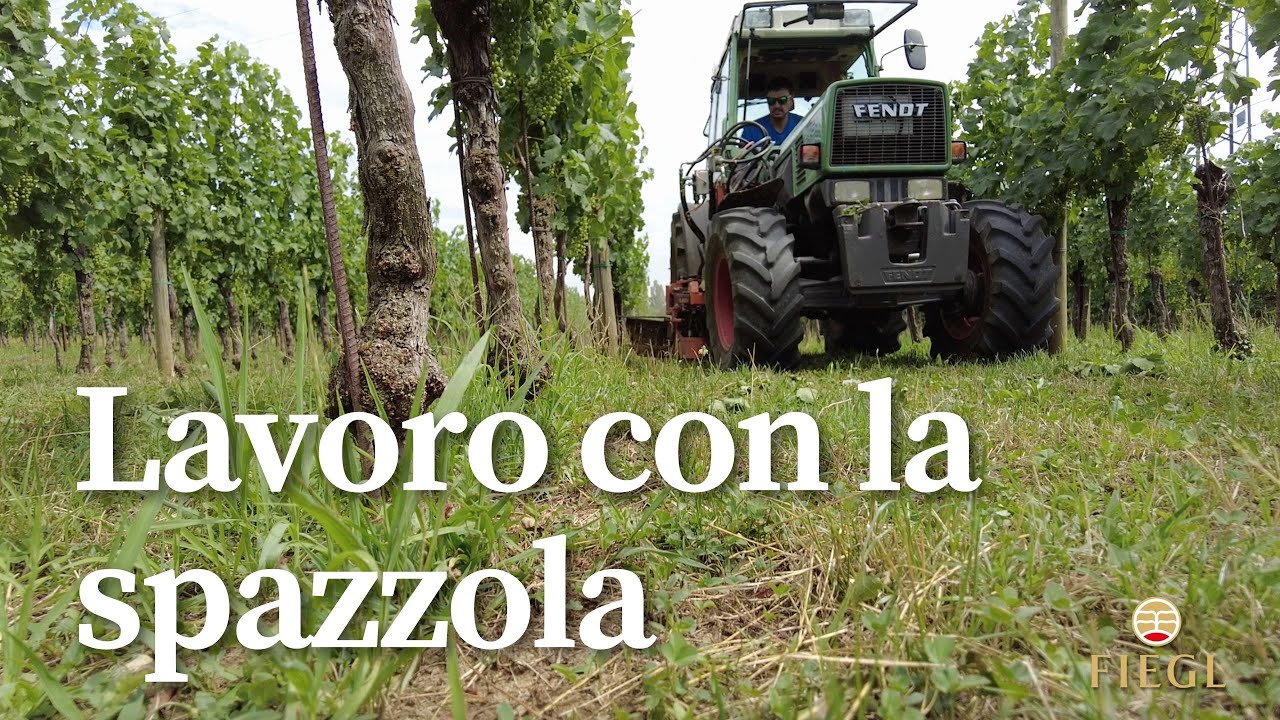 Ho provato il decespugliatore sottofila simil-braun